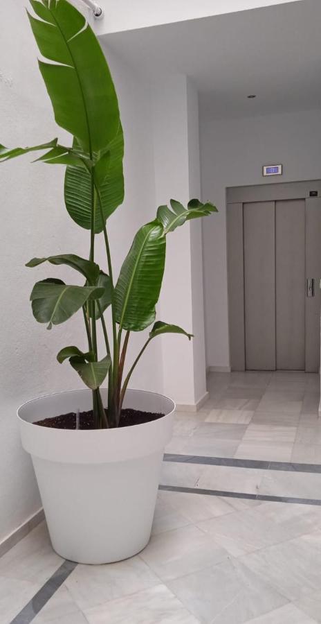El 2 De Flamenco Atico 3ºb Apartment กาดิซ ภายนอก รูปภาพ
